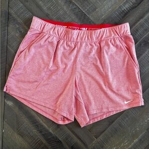 Nike Women's Dri-Fit Heathered Pink Athletic Shorts Size L